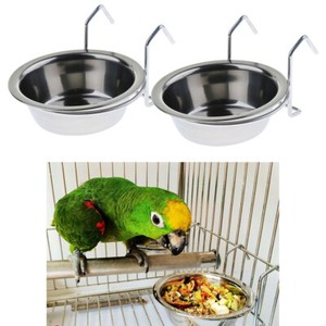 parakeet water dish