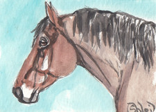 ACEO originale acquerello arte card CAVALLO big bay roan francese Mulassier Draft mare