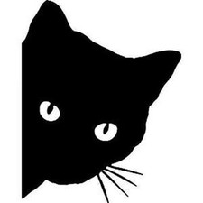 Cat Peeking Face Vinyl Decal Die Cut