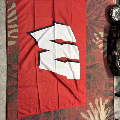 wisconsin badger flag