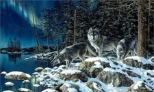 NIGHT LIGHTS - JIM HANSEL - ART PRINT - WOLF - WOLVES 10-1/2" x 18"