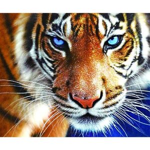 DIY 5D Diamond Painting Tiger Lover Embroidery Cross Stitch Craft Art Decor 