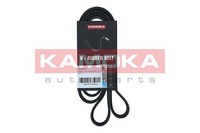 Kamoka Keilrippenriemen U.A. FüR Alfa Romeo, Fiat, Ford, Lancia, Volvo