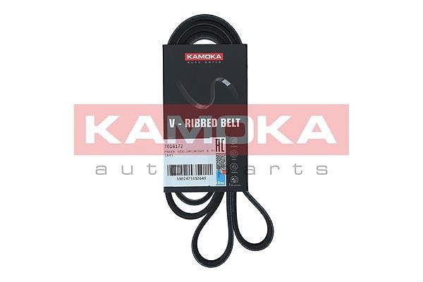 Kamoka Keilrippenriemen U.A. FüR Alfa Romeo, Fiat, Ford, Lancia, Volvo-image