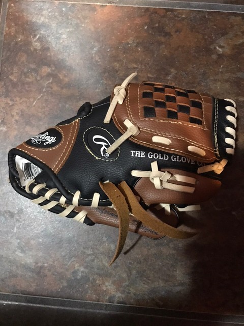 rawlings 9 inch baseball glove