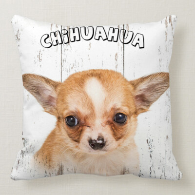 Kissenbezug Kissenbezug Hund Chihuahua 45x45 cm 
