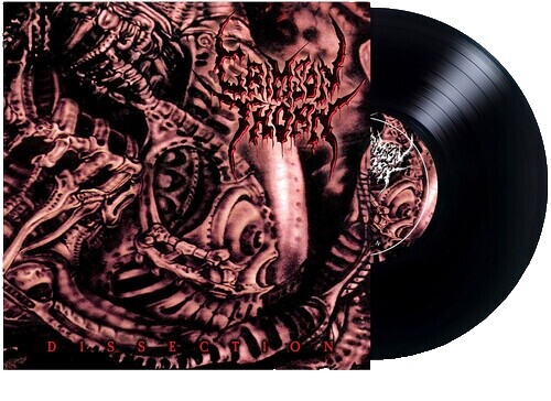 Dissection - Storm Of The Light's Bane (PICTURE VINYL) - METAL