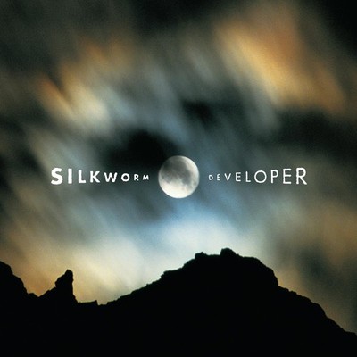 Developer (Deluxe Edition) Silkworm [LP record]