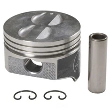 Engine Piston Set Sealed Power H273CP 30