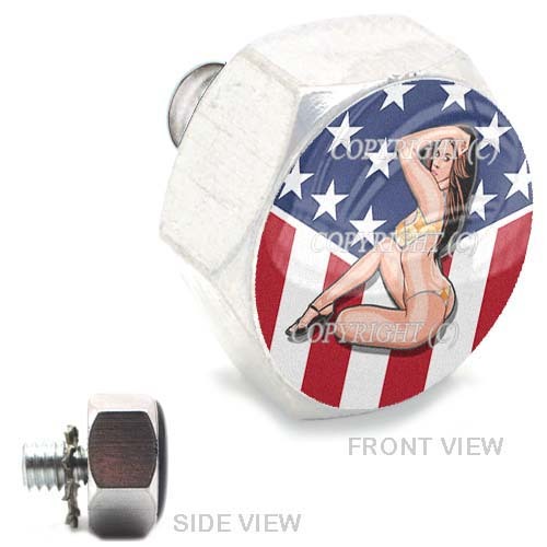 Polished Billet Hex Air Cleaner Bolt Harley - GIRL USA FLAG - 173 - Foto 1 di 1