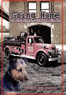 Kavanagh - Going Home The Lost Story of Chief the Fire Dog - New hardb - X555z