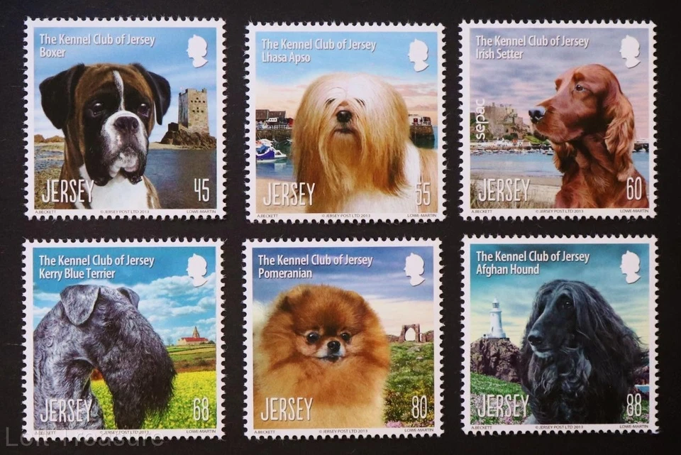 Jersey Stamps: "Jersey Kennel Club" Presentation Pack MNH 6 Value Mint Set 2013 - Image 2 of 4