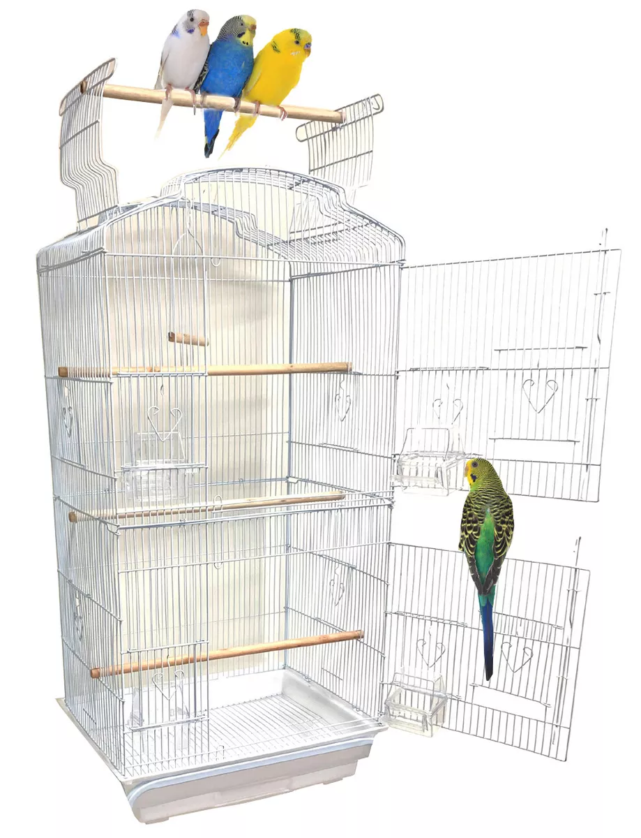 Large 36-inch Portable Hanging Bird Cage For Small Parrot Cockatiel Sun  Quaker