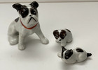 New ListingVintage Boston Terrier Momma Dog and Puppies Japan