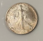 1991 Walking Liberty American Eagle Silver Dollar 1 oz .999 fine silver