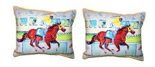 Pair Of Betsy Drake First Place Small Outdoor Indoor Pillows 11 X 14