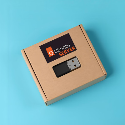 Ubuntu Server 25.10 USB Live/Installationsmedium