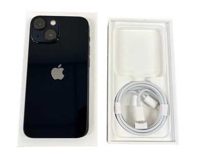 Apple iPhone 13 mini - 256 GB - Blue (Unlocked) for sale online | eBay