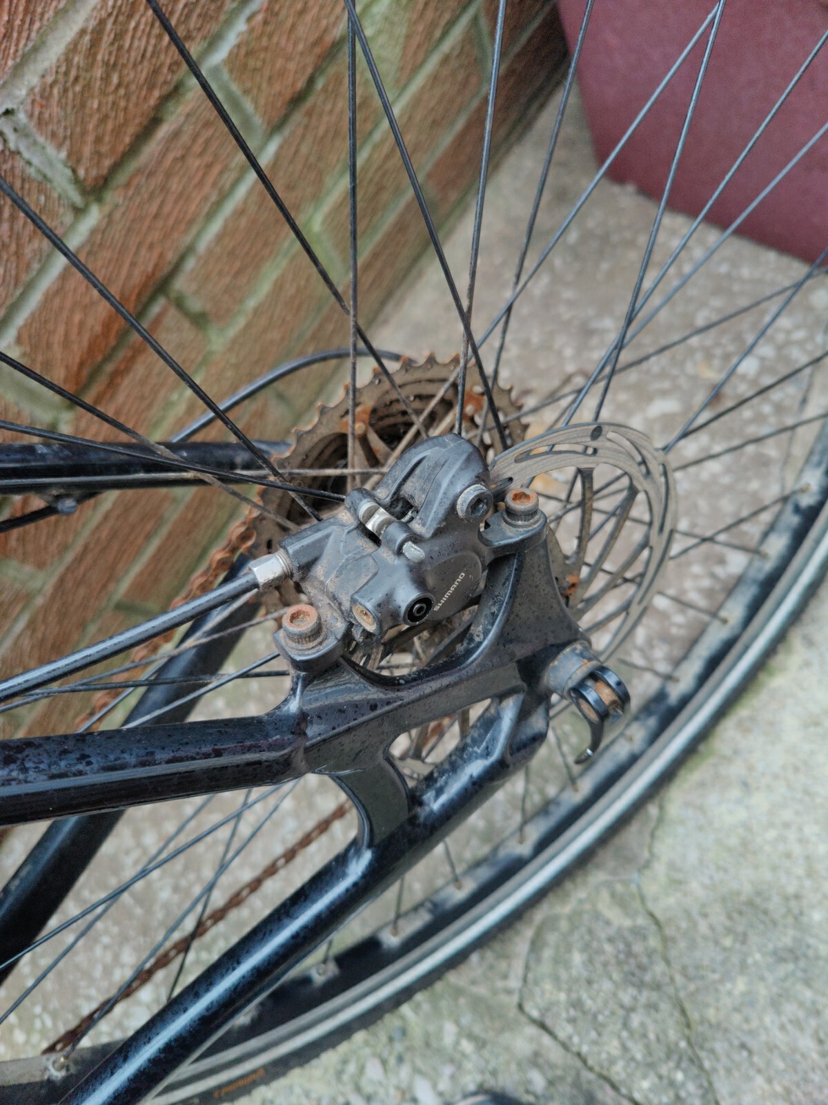 Specialized Mountain Bike eBay