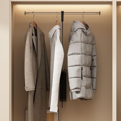 Pull Down Closet Rod, 26 Inch Soft-Close Buffering Clothing Organizer, Stainless