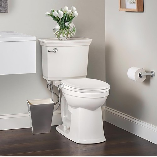 Elongated Bidet Toilet Seat Non-Electric Dual Nozzle Soft Close White Bathroom - Picture 2 of 9