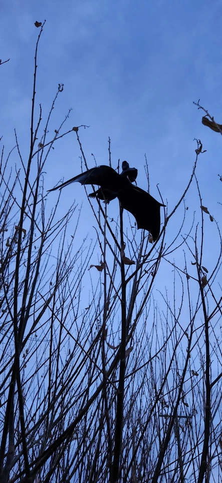Geocache, contenitore geocaching per pipistrelli da appendere, rotolo di tronchi e tubo bisonte impermeabile  - Immagine 4 di 4