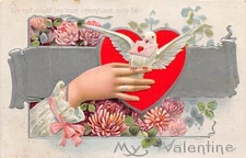 E22/ Valentine's Day Love Holiday Postcard c1910 Dove Letter Silver Lined 17