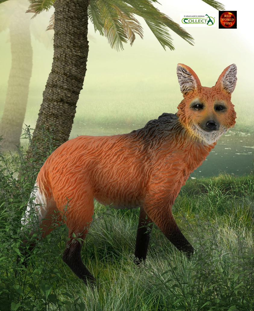 Maned Wolf Wildlife Toy Model Figure by CollectA 88595 New UK