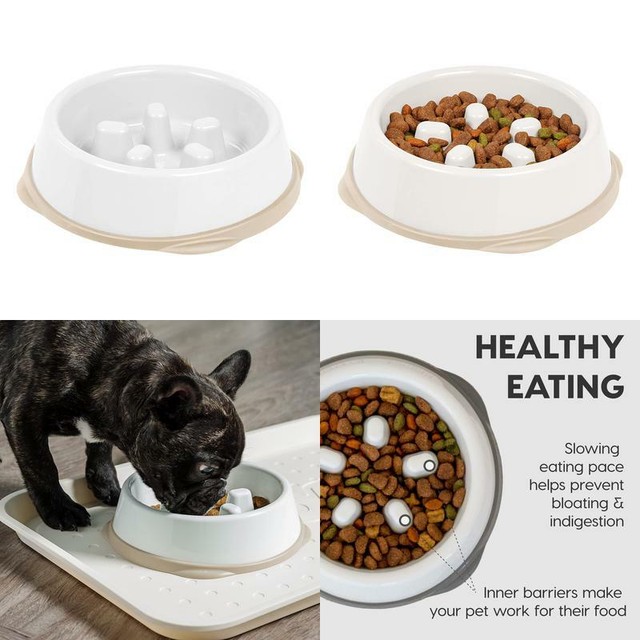 short snout dog bowls