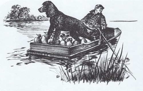 IRISH WATER SPANIEL - CUSTOM MATTED - Dog Art Print - 1964