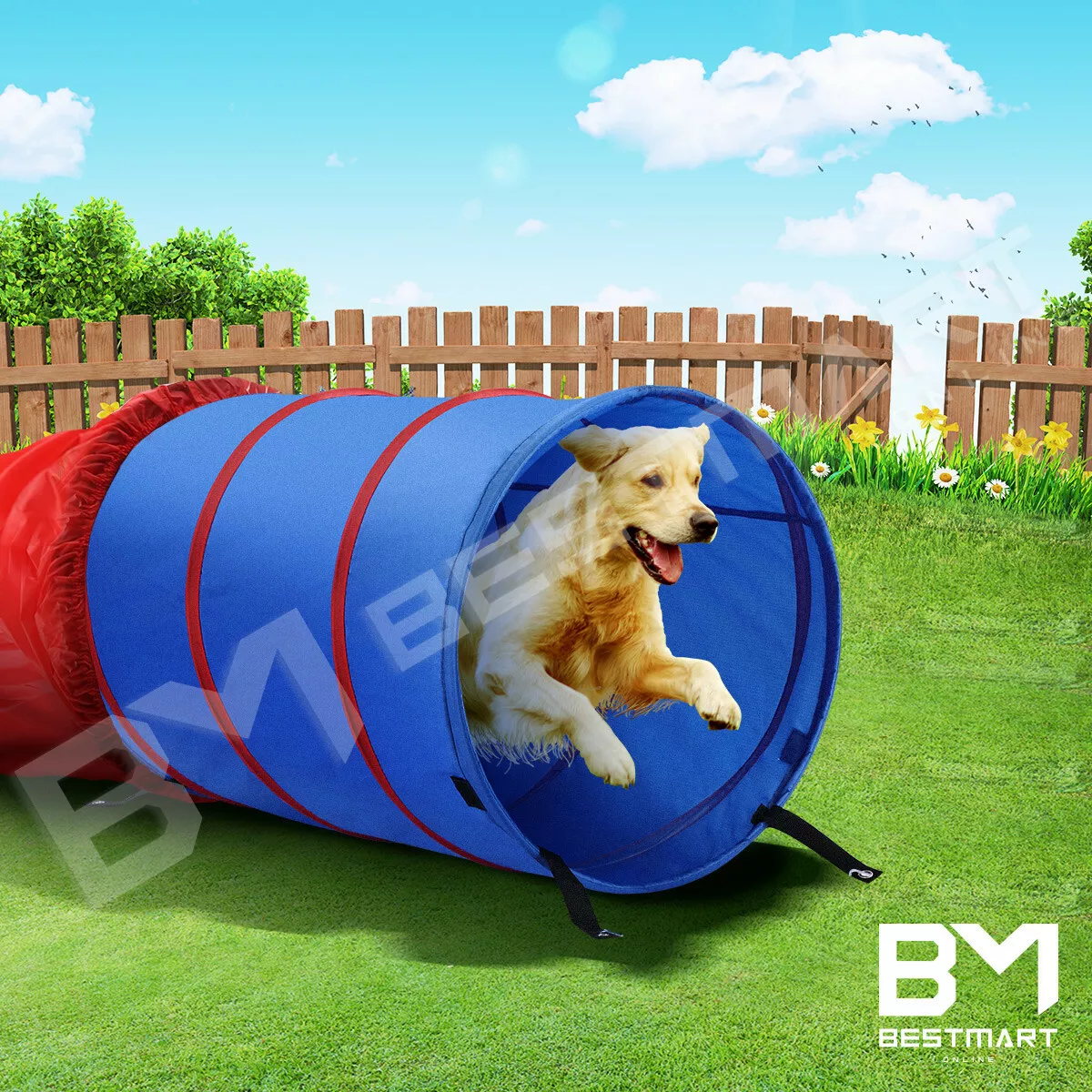 Agility top training toys