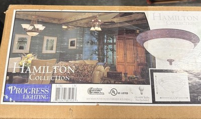 Brabd new! Hamilton collection progress lighting P 3595-41 rusting stone