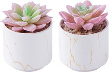 Fake Succulents, Mini Succulents Plants Artificial in White Ceramic Pots