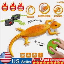 Wall Climbing Gecko Toy RC Robot Drives on Walls for Kids Rechargeable Xmas USA