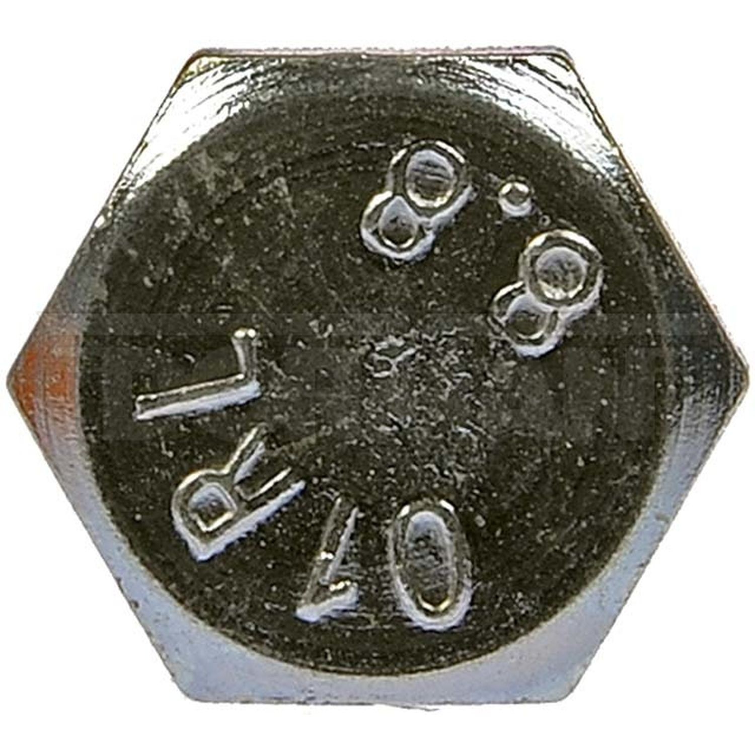 Foto 2 di 6
