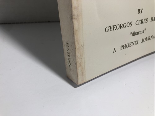 From the Frying Pan Into The Pit of Fire by Gyeorgos Hatonn A Phoenix Journal - Picture 3 of 7