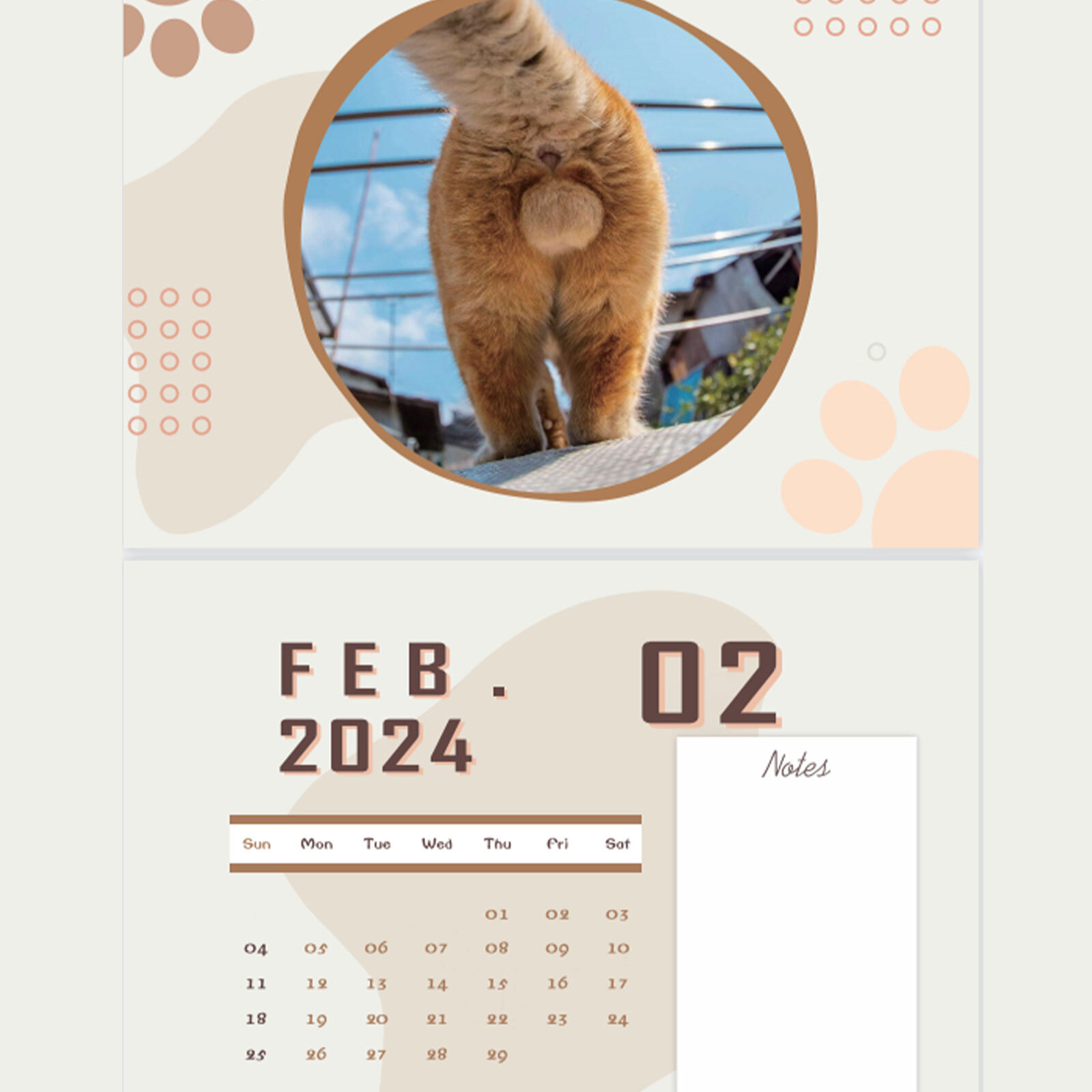 2024 Cats Buttholes Calendar 2024 Funny Cat Balls Calendar Wall