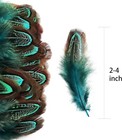 Bild 8 von 8