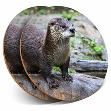 2 x Coasters - Adult Curious Water Otter Home Gift #16434
