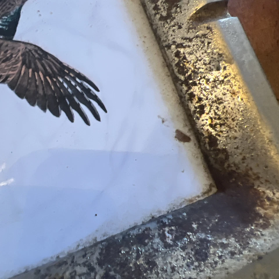 Cenicero de colección H & R Johnson de azulejos de cerámica juego pájaro faisán conversión Foto 2 de 4