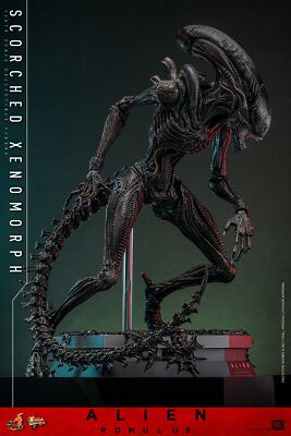 No shipper! New Hot Toys MMS784 1/6 Alien: Romulus Scorched