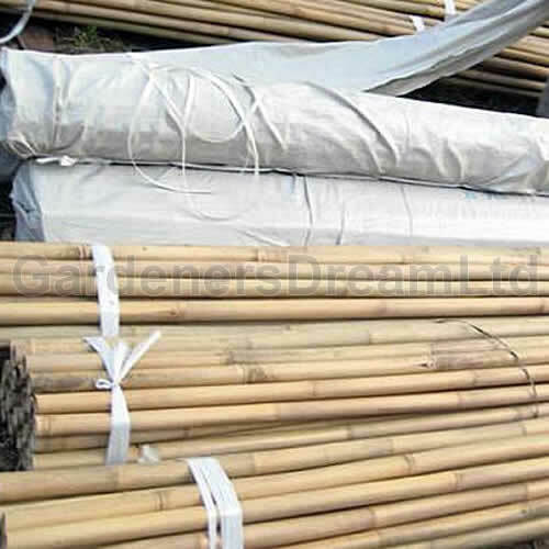 150 X 5FT HEAVY DUTY BAMBOO GARDEN CANES STRONG THICK QUALITY PLANT SUPPORT - Picture 3 of 4