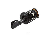 Suspension Strut and Coil Spring Assembly