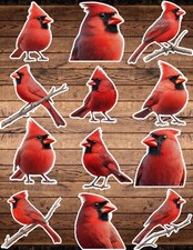 Cardinal Birdl Die Cut Vinyl Stickers Set Scrapbooking Laptop Waterbottle