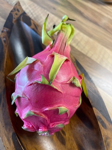 Drachenfrucht Dragonfruit Rot Lila Gelb je 10 Samen Pitahaya Obstsamen Kaktus - Bild 5 von 5
