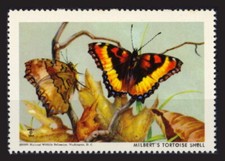 Francobollo Federazione Nazionale Faunistica - 1965 MNH - Conchiglia Tartaruga di Milbert