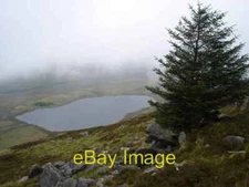 Photo 6x4 A Solitary Tree Tal-y-bont/SH5821 The west facing steep, jumbl c2007