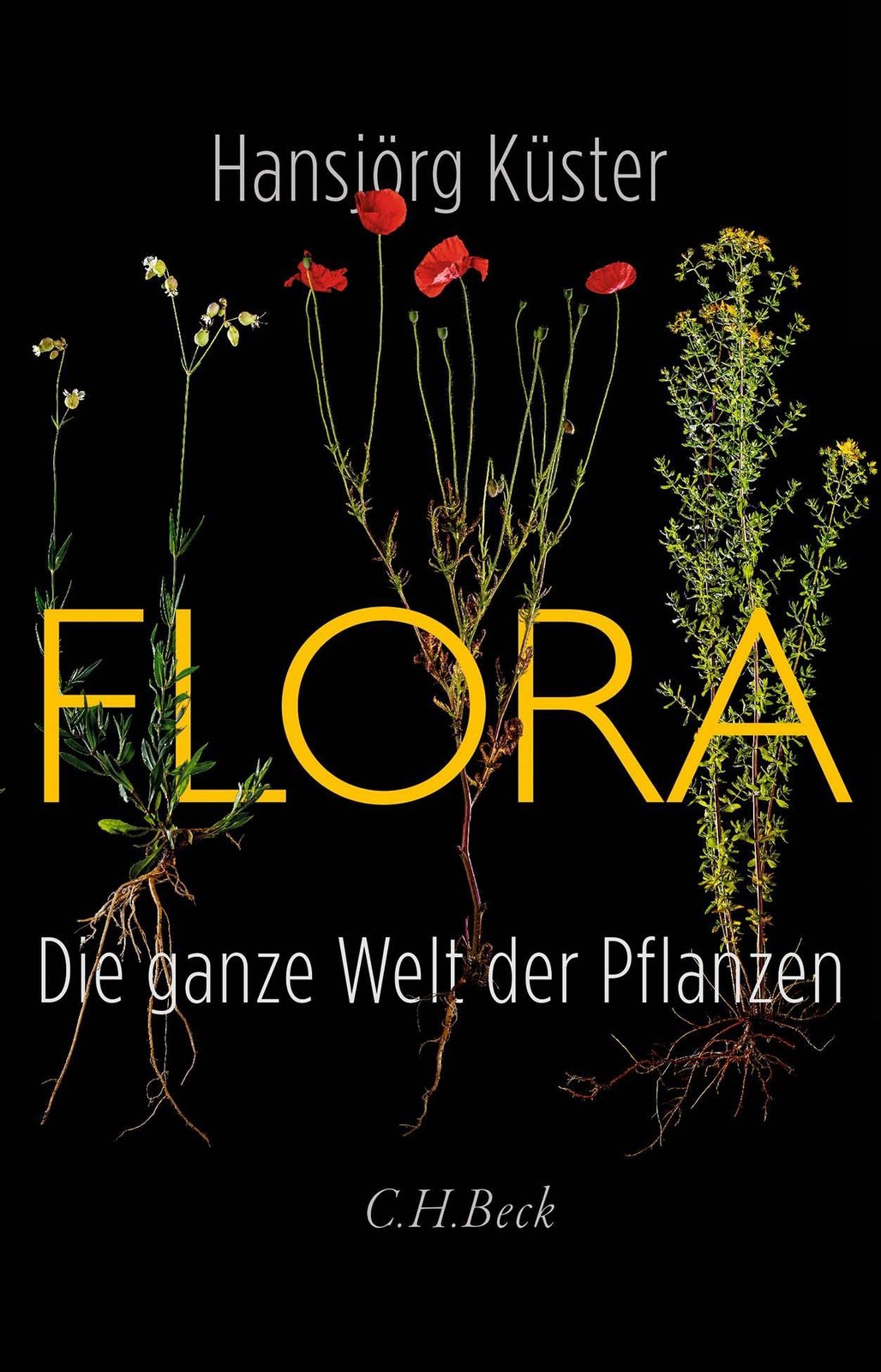 Flora Hansjörg Küster