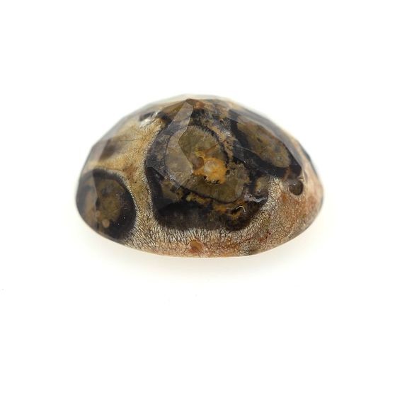 Jaspe multicolore d'Afrique de 3.06 cts pour collection de minéraux et pierres précieuses - 2