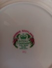 This Beautiful Plate Made  By Bonnie Scotland Royal Standard Fine Bone China — photo 2